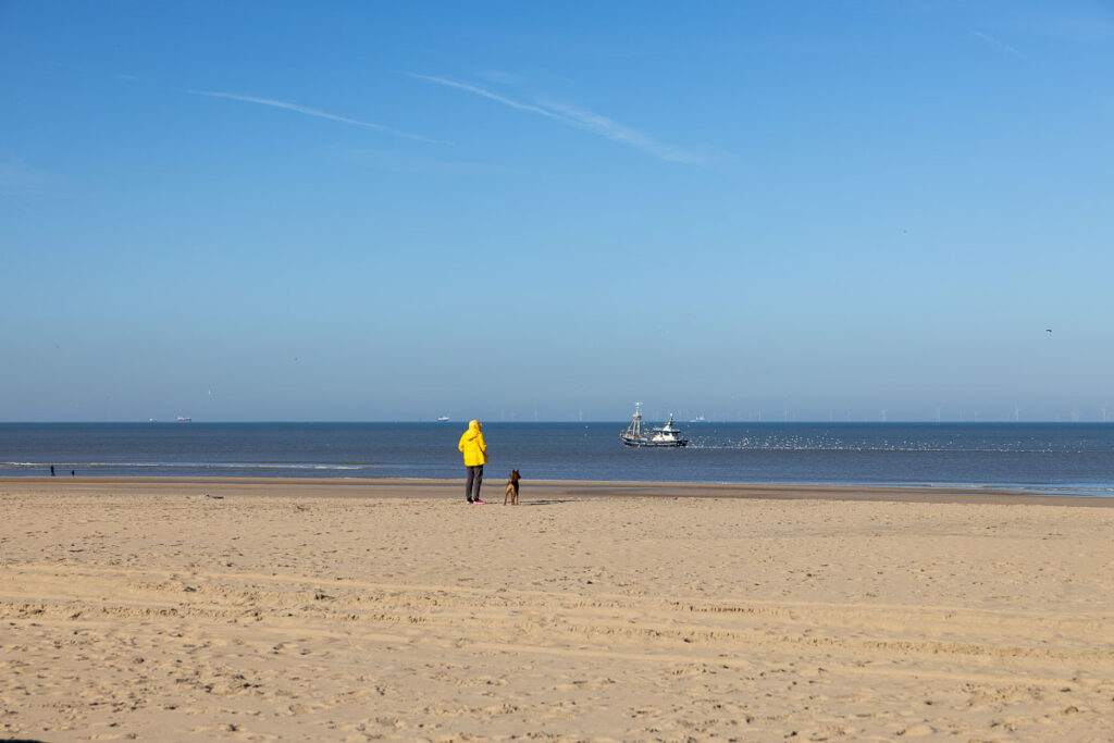 Vanuit het strandhuisje loop je zo over het duinpad richting Noordwijk of Katwijk