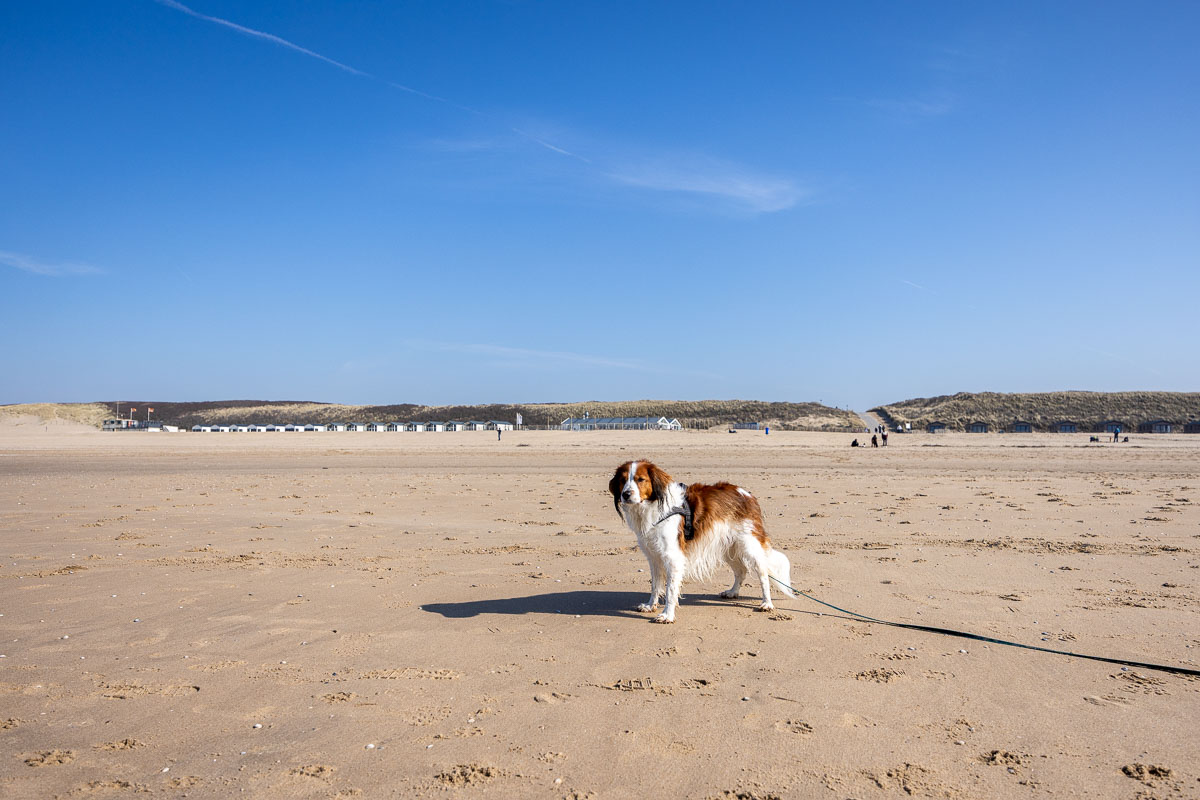 Wandelen Katwijk