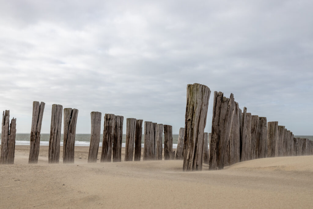 Strandpalen