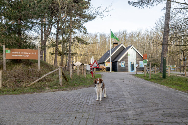 De excursie schuur van Staatsbosbeheer