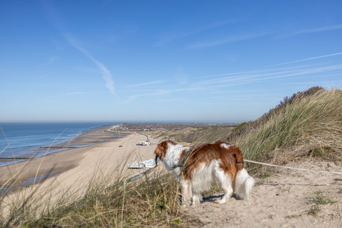 Mooi foto moment met dit uitzicht