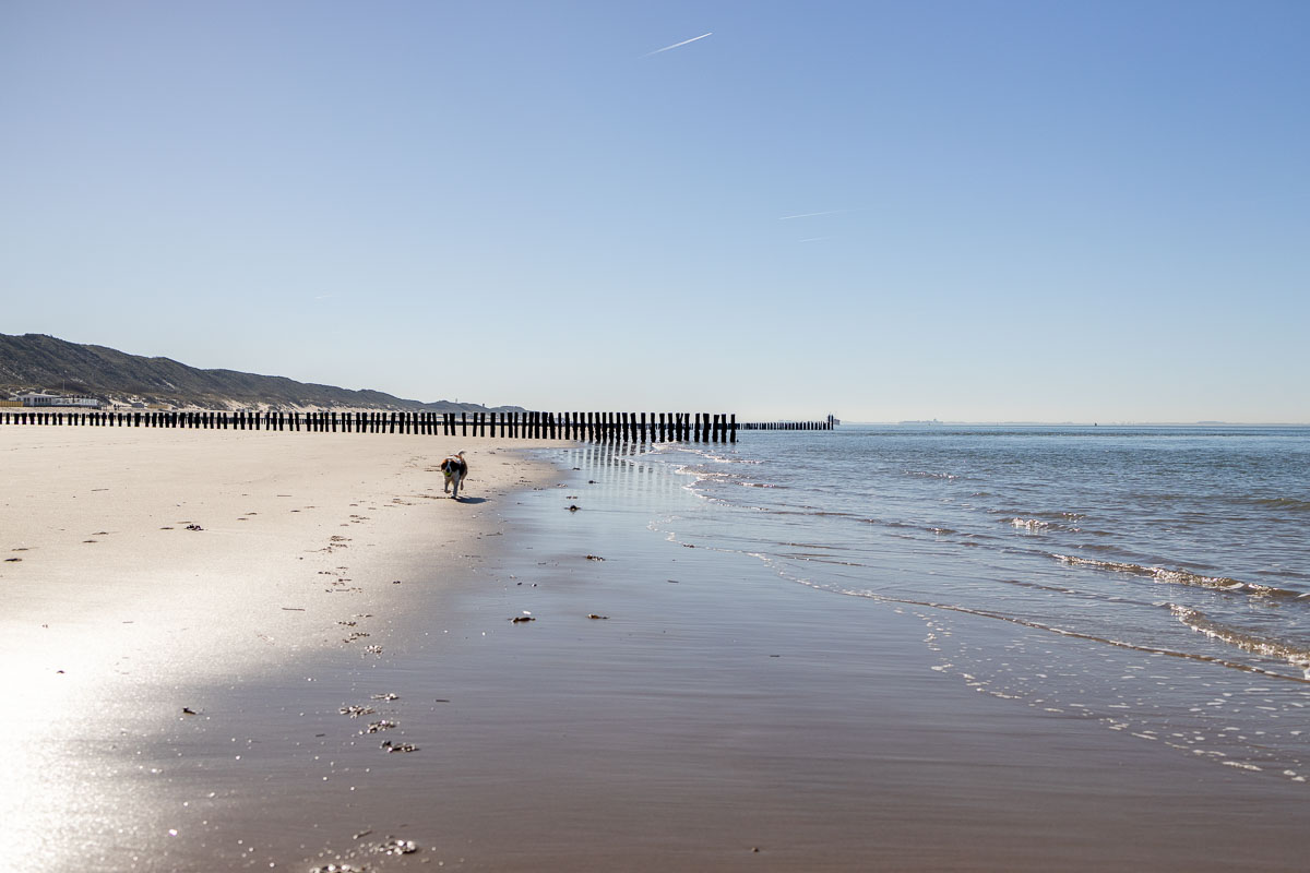 Loslopen op het strand