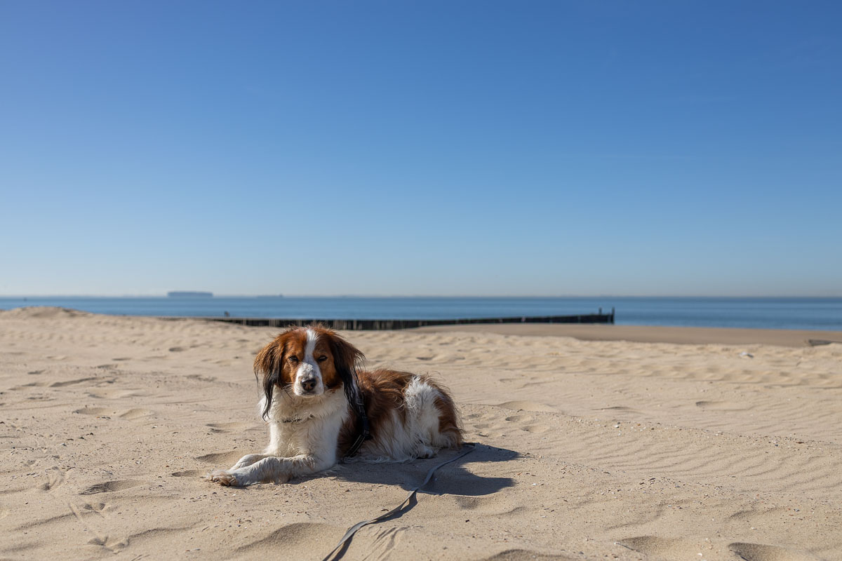 Rust pauze op het strand