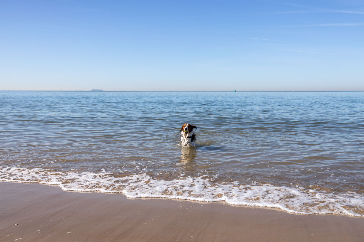 Duik nemen in de Noordzee