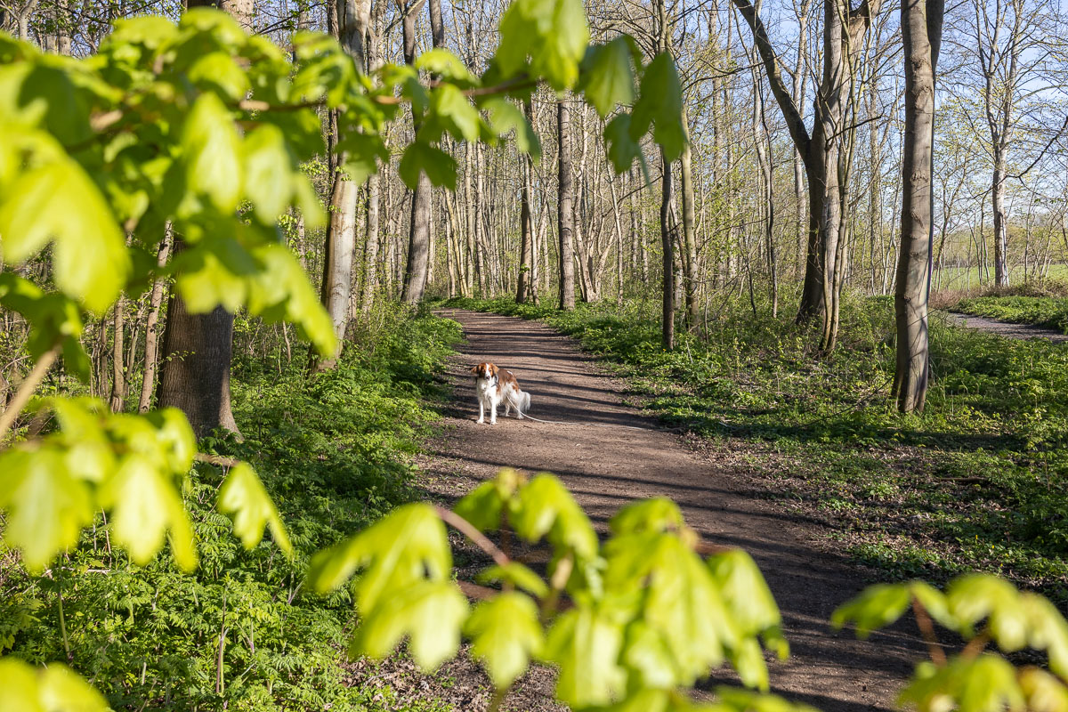 We lopen deze route in april, alles begint weer groen te worden