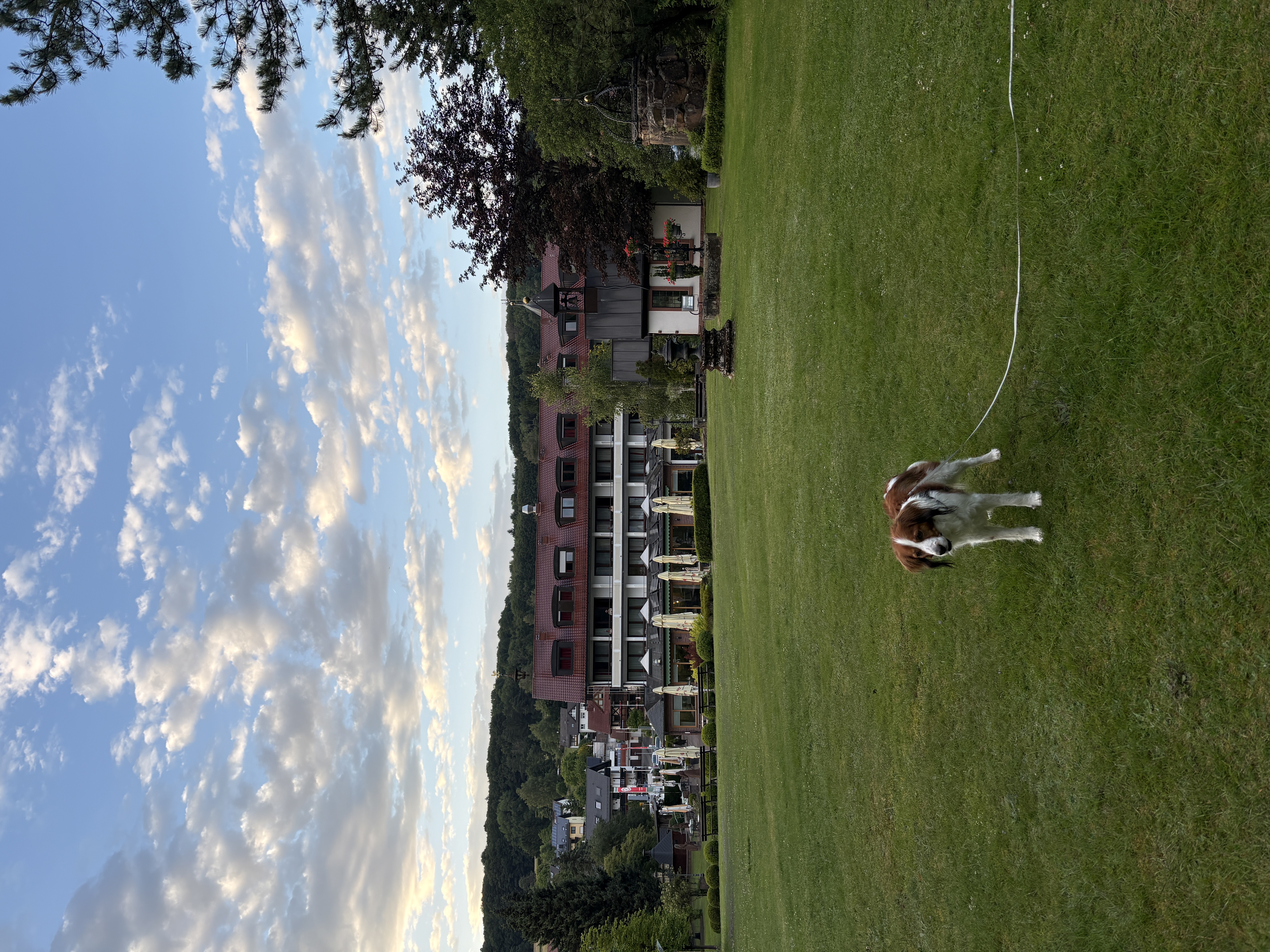 Tuin van het hotel