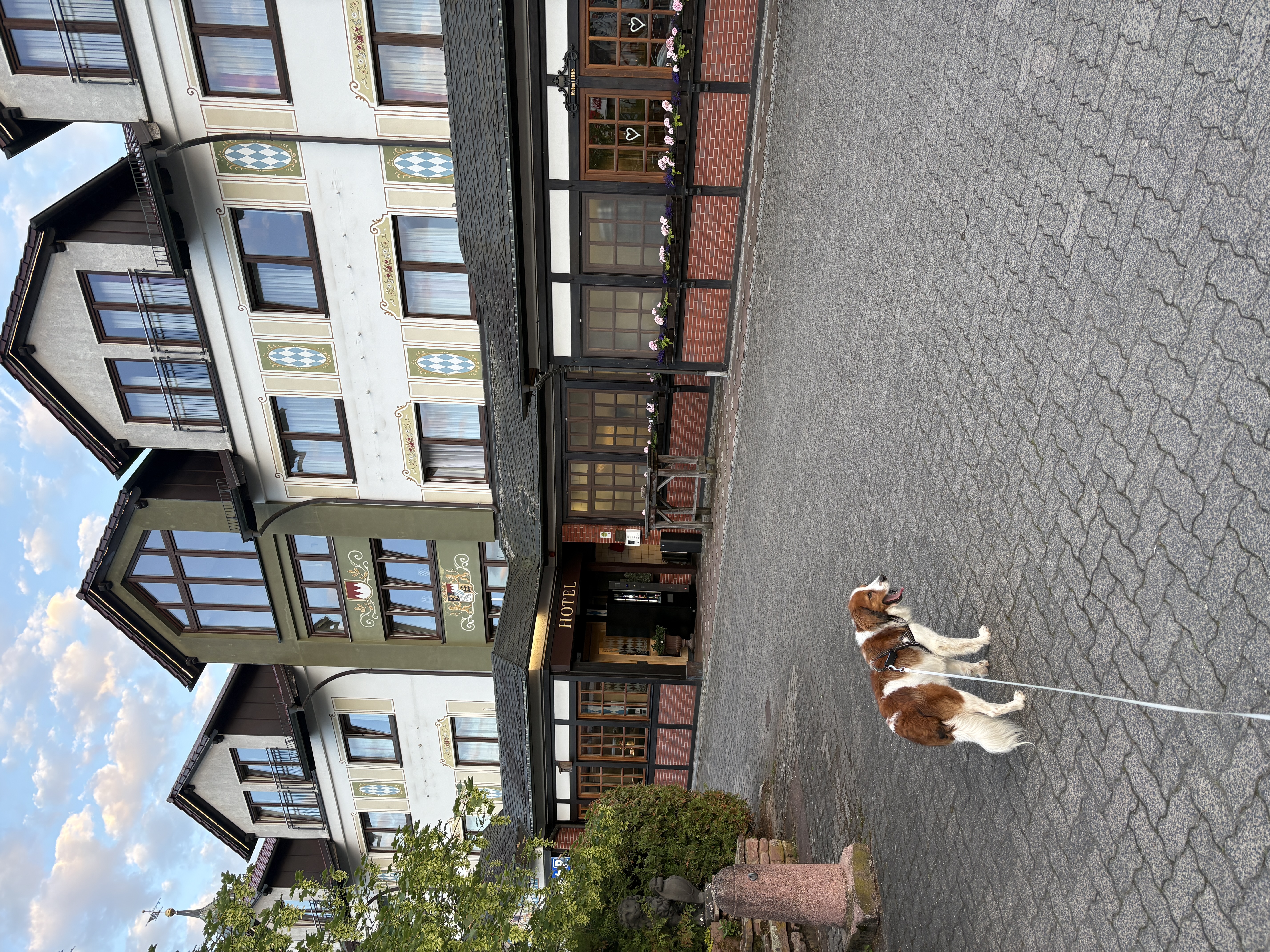 Vooraanzicht hotel