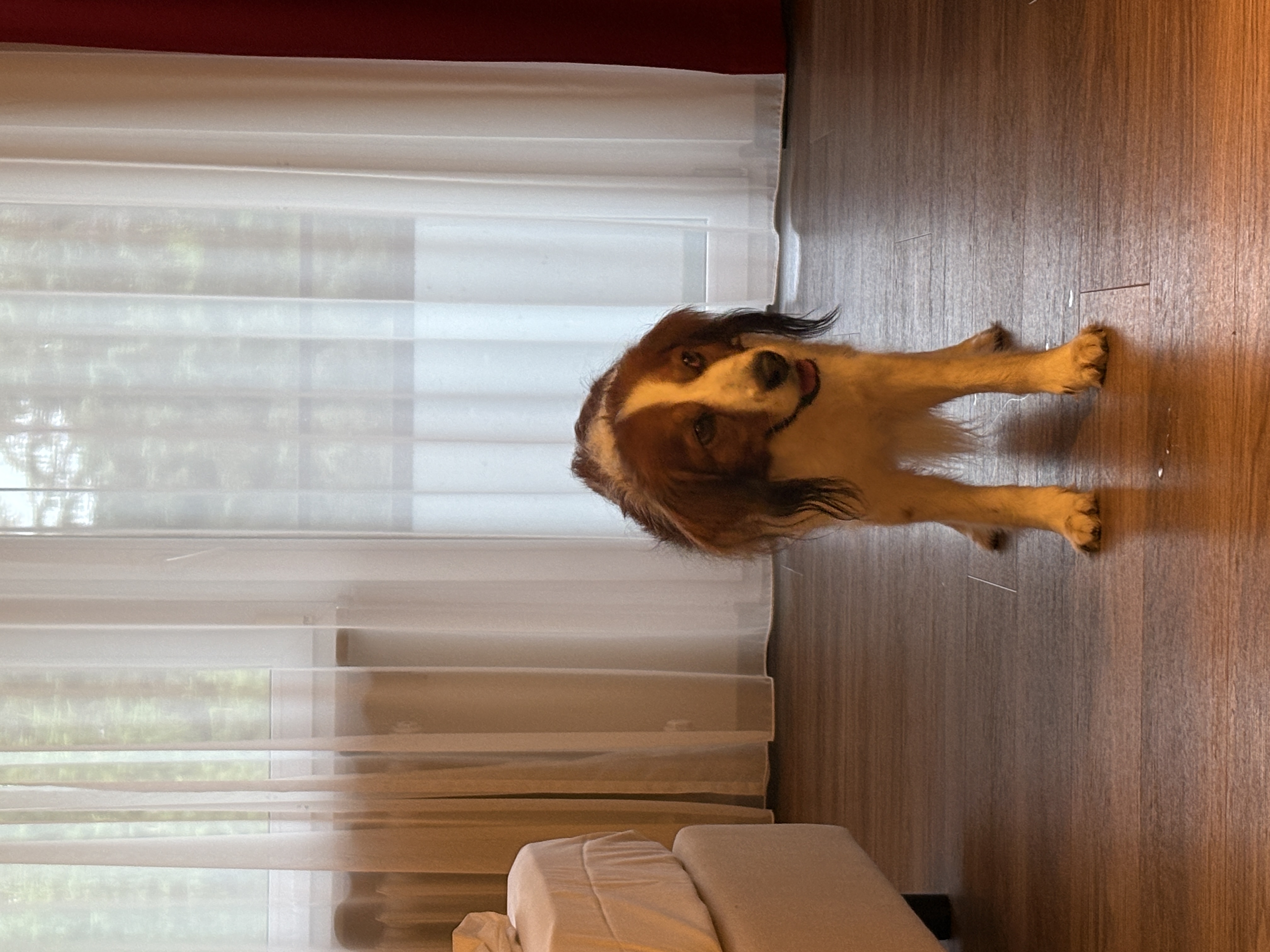 Mooie ruime kamers met balkon en airconditioning