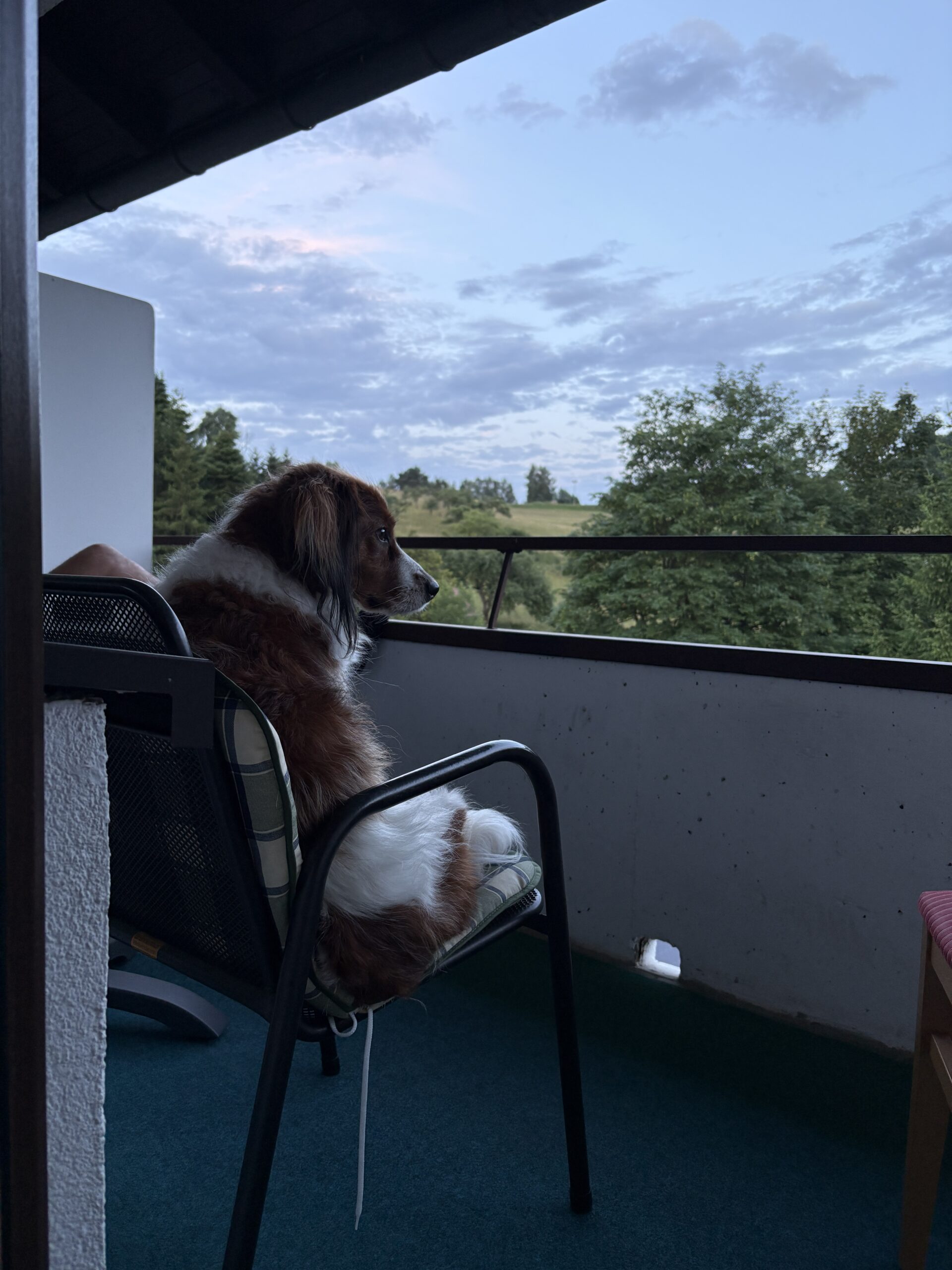 Heerlijk balkon met uitzicht op de tuin