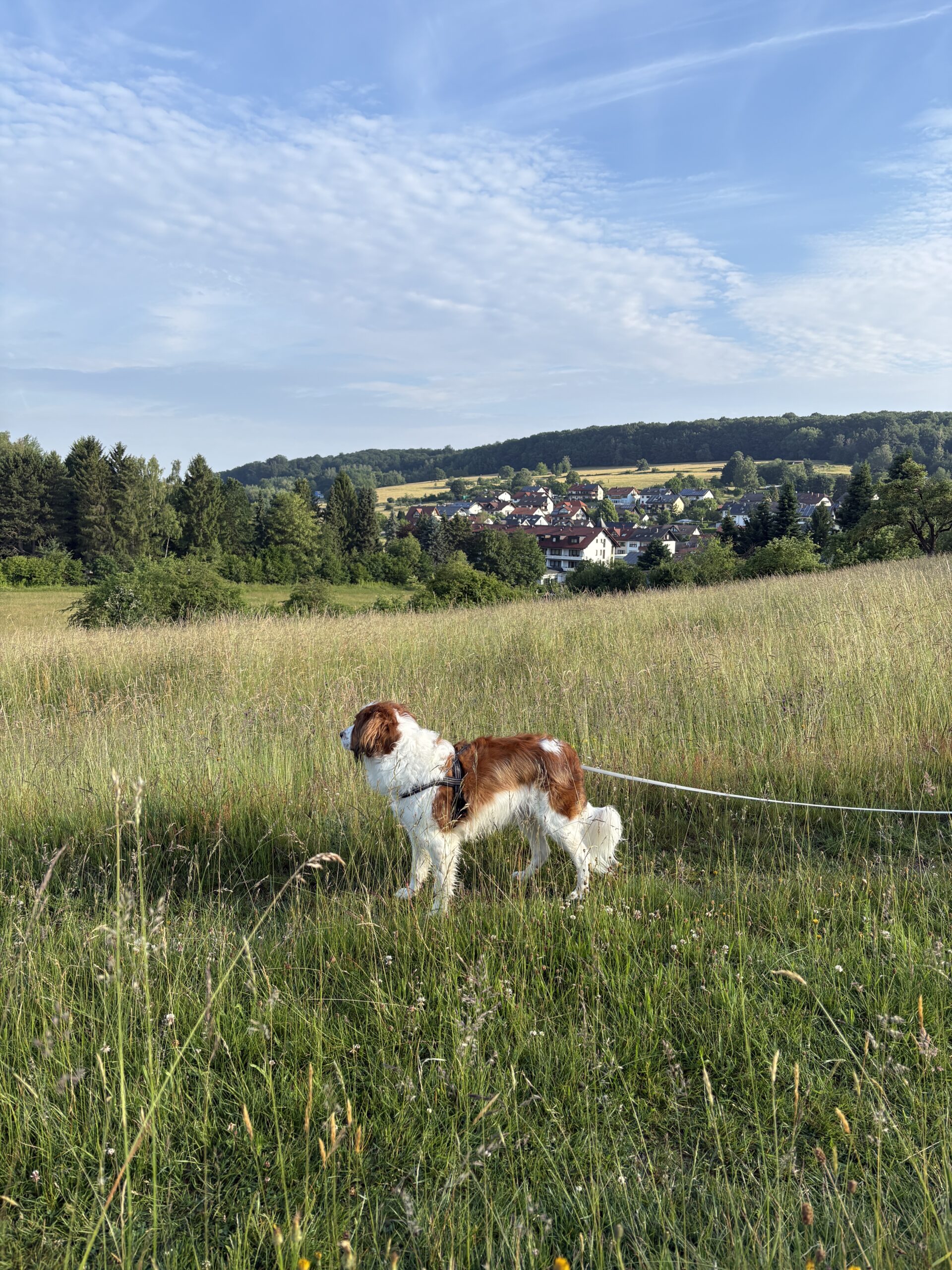 Mooie wandelingen direct vanuit het hotel