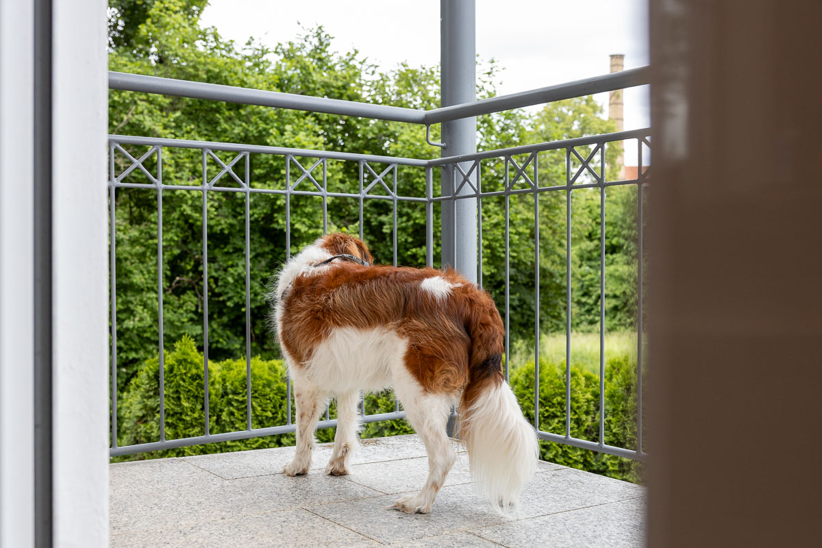 Ruim balkon met uitzicht op het parkje