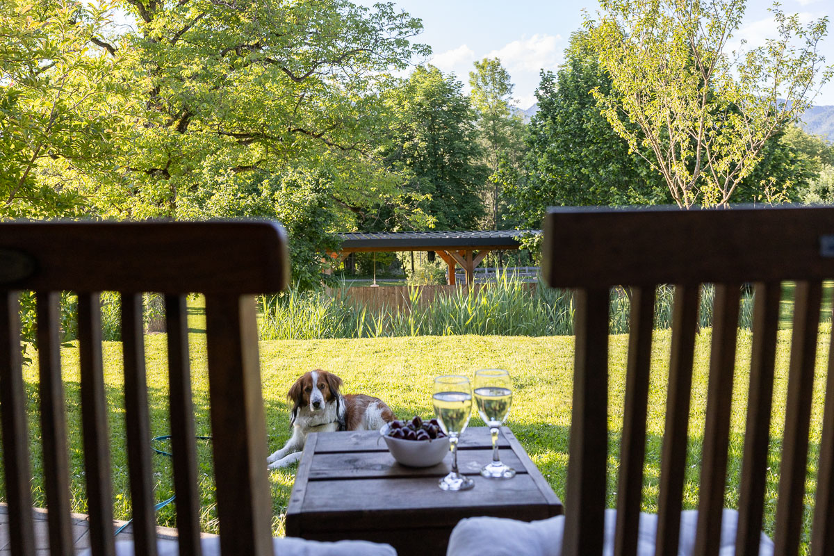Borrelen op je eigen terras