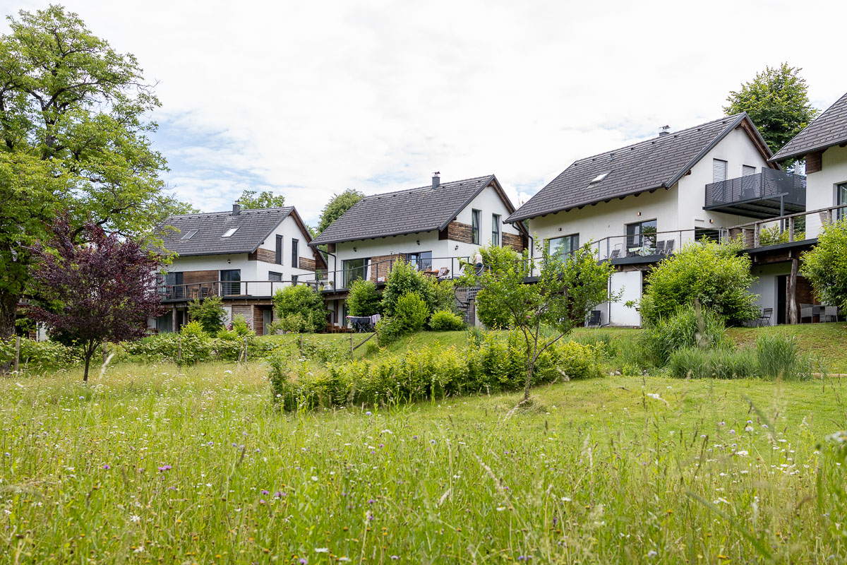 De grote tuin