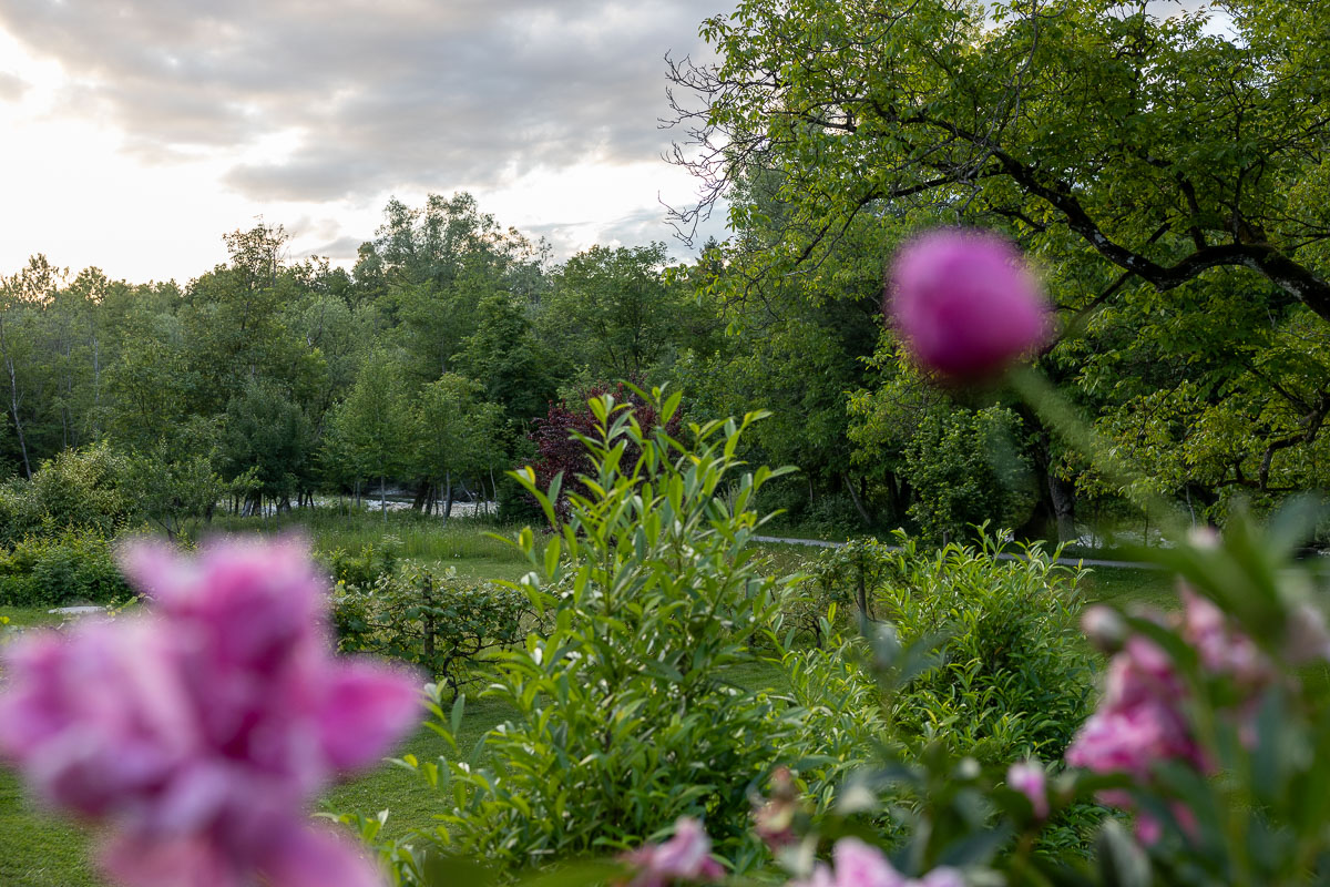 De mooie tuin met uitzicht op de rivier
