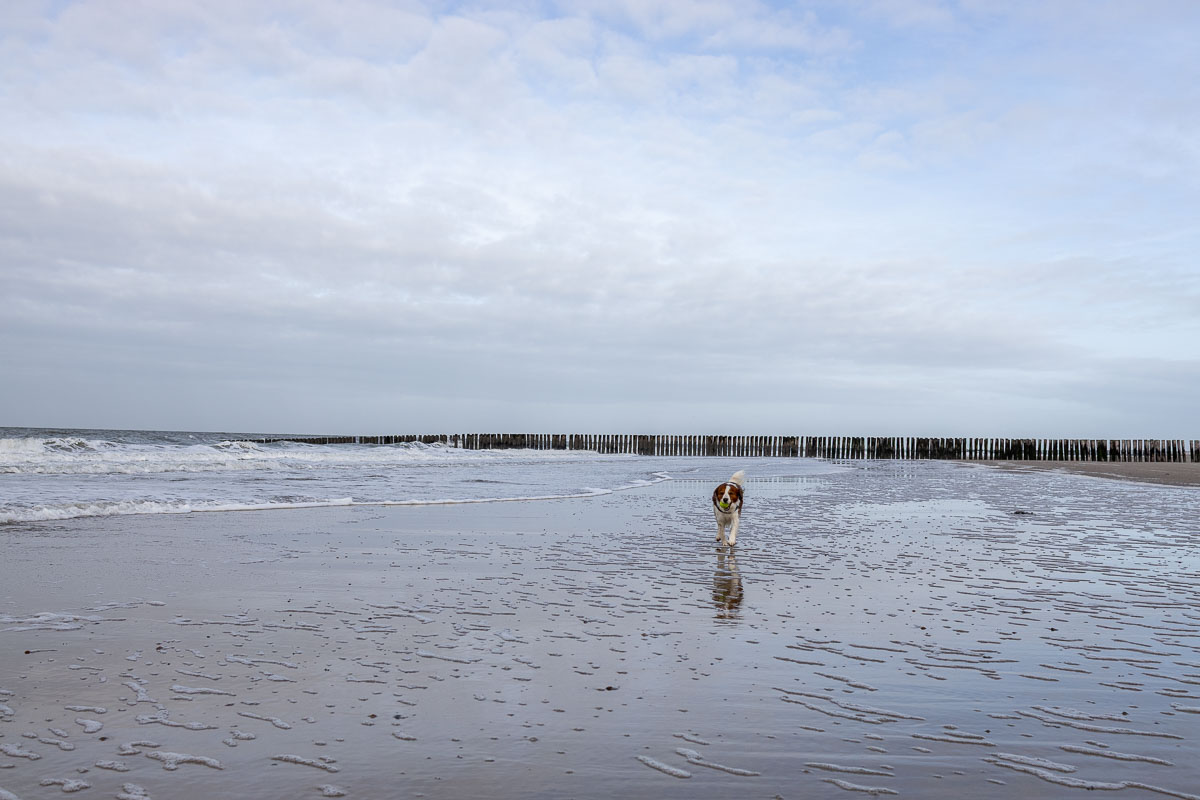 Vooral in het voor- en naseizoen ben je vaak alleen op het strand