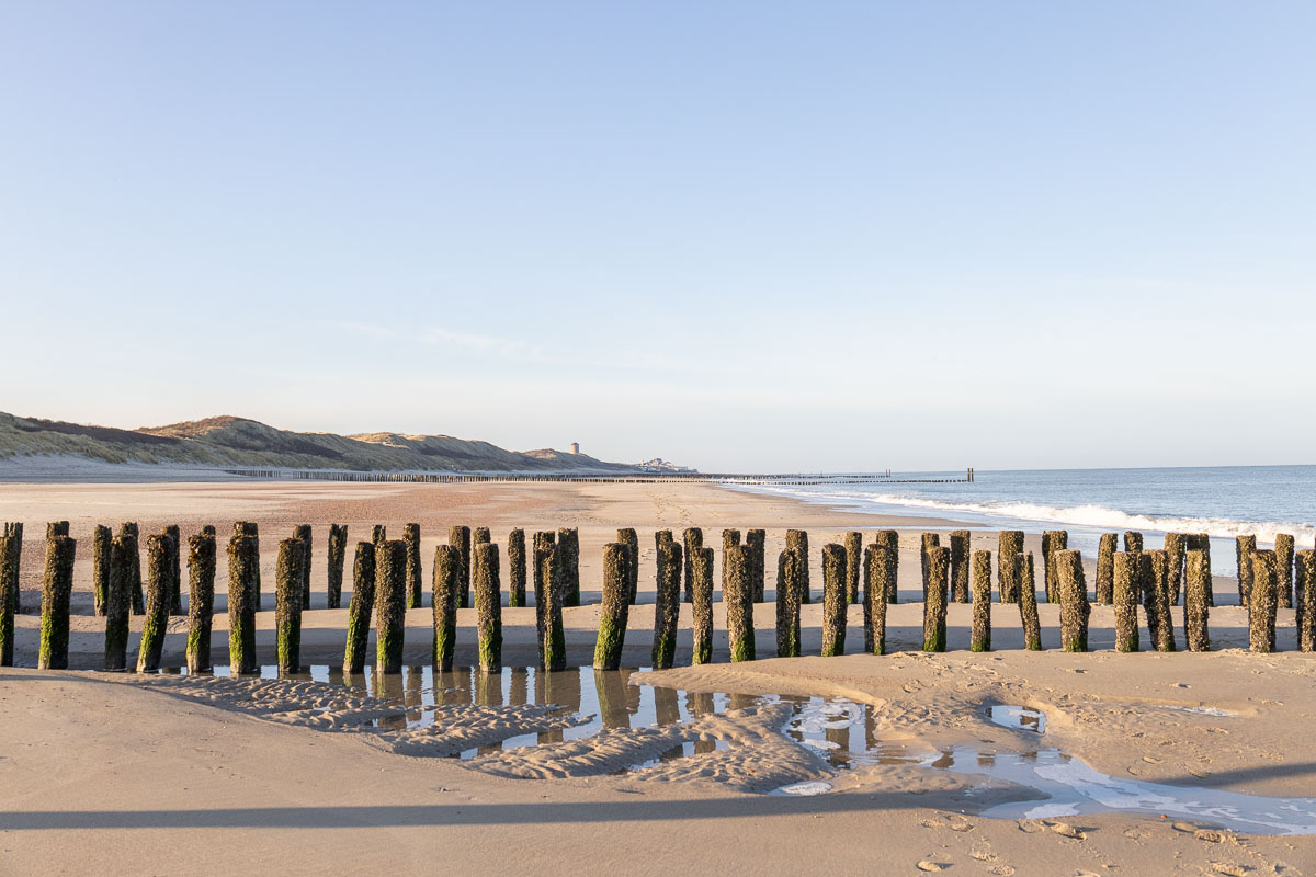 Strandpalen