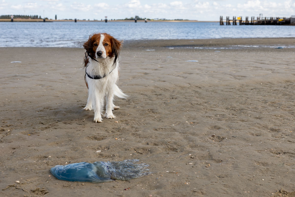 Rio poseert voor de zeepaddenstoel