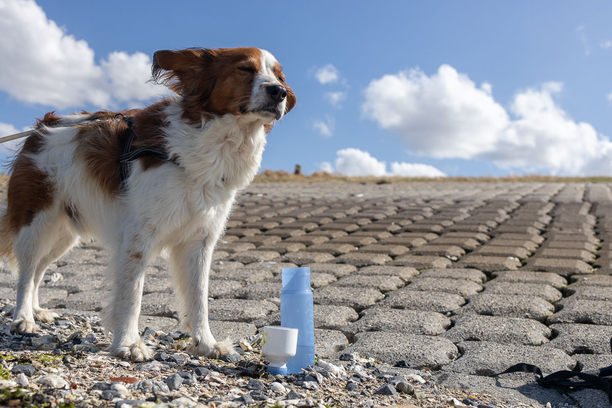 Neem altijd voldoende water mee