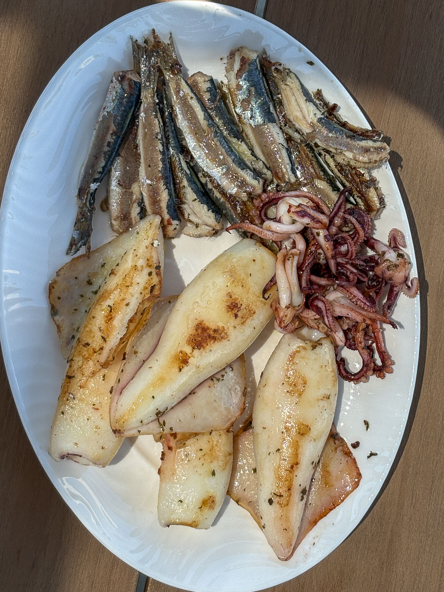 Sardines, inktvis en gambas vers van de markt