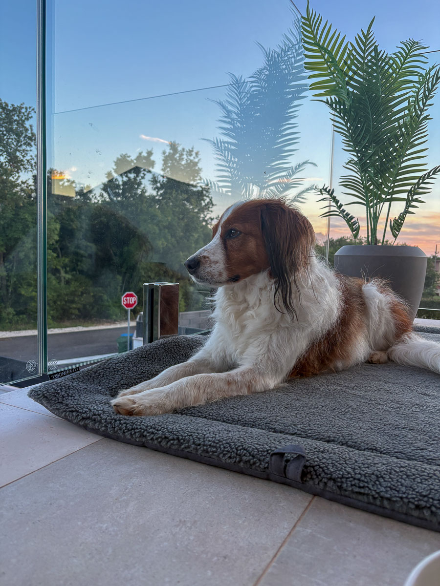 Heerlijk op het balkon