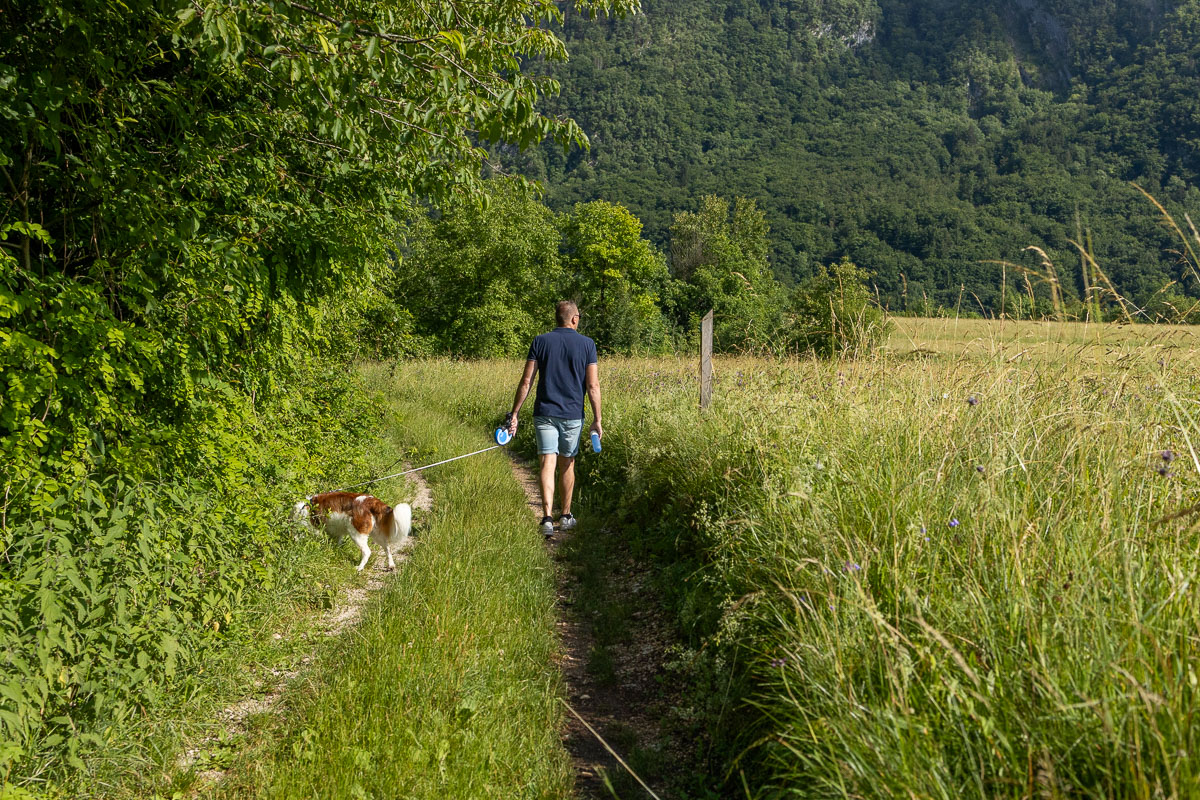 Wandelen richting de hangbrug