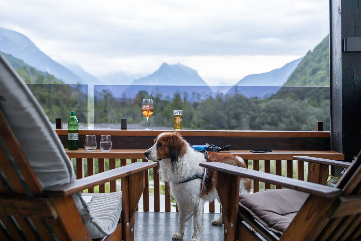Honden zijn welkom in het restaurant en het terras.